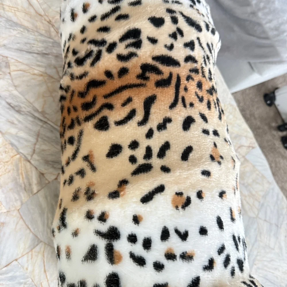 N/A collapsible cat